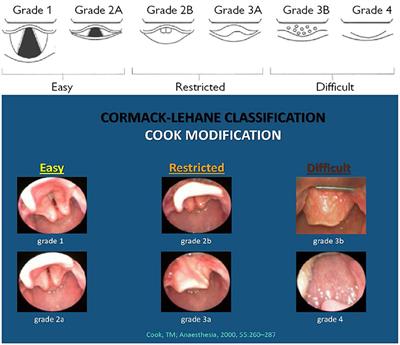 Hm hot sale neonata 2020